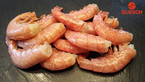 A photograph of Argnetine red shrimp EZ Peel