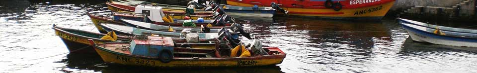 Colorful artisanal fishing boats tied up in a harbor