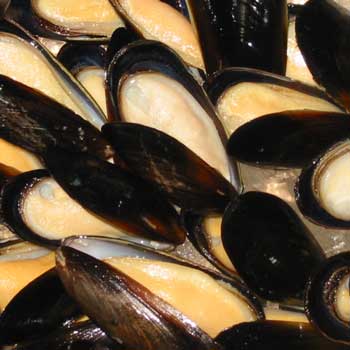 A photograph of whole cooked Chilean mussels.